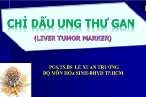 y-nghia-chi-so-afp-trong-ung-thu-nhu-mo-te-bao-gan-nguyen-phat